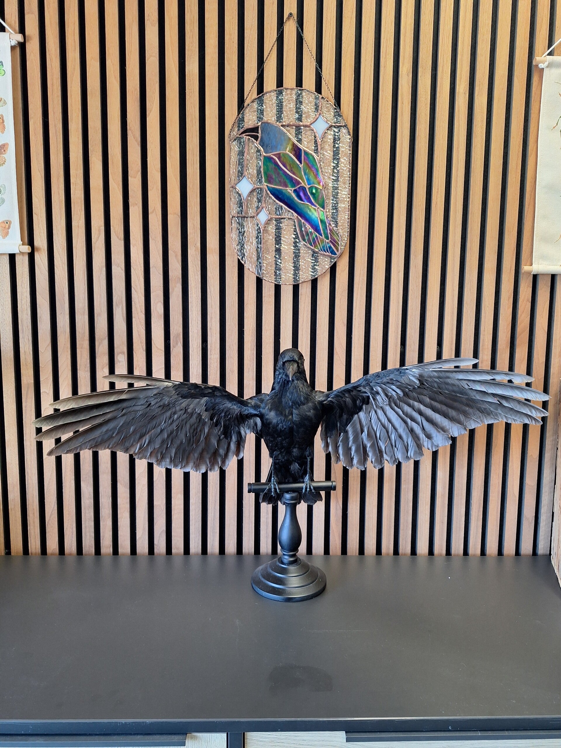 Kraai vleugels open