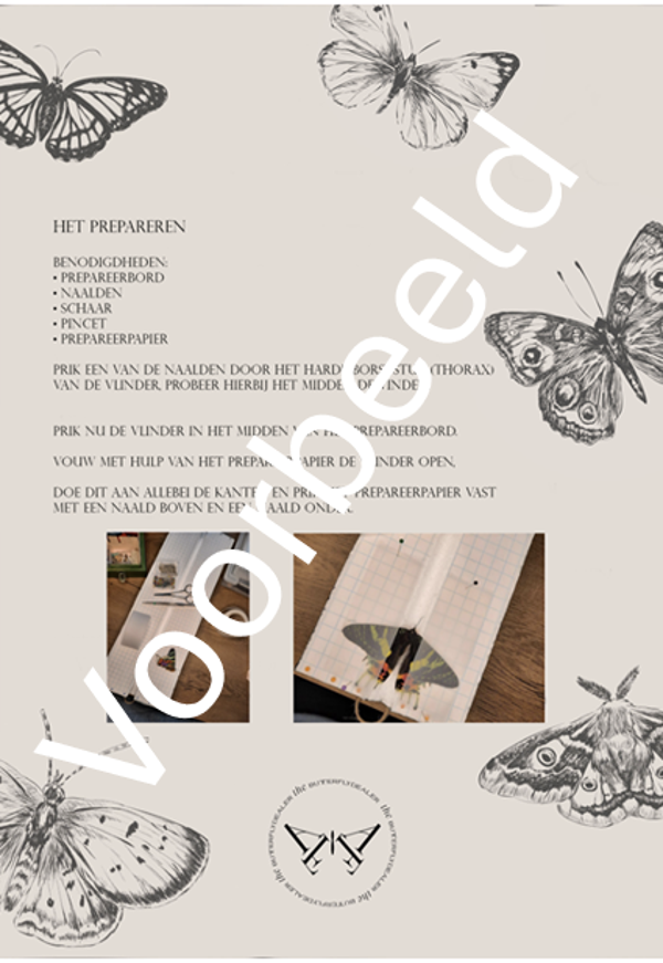 Download handleiding Vlinders prepareren