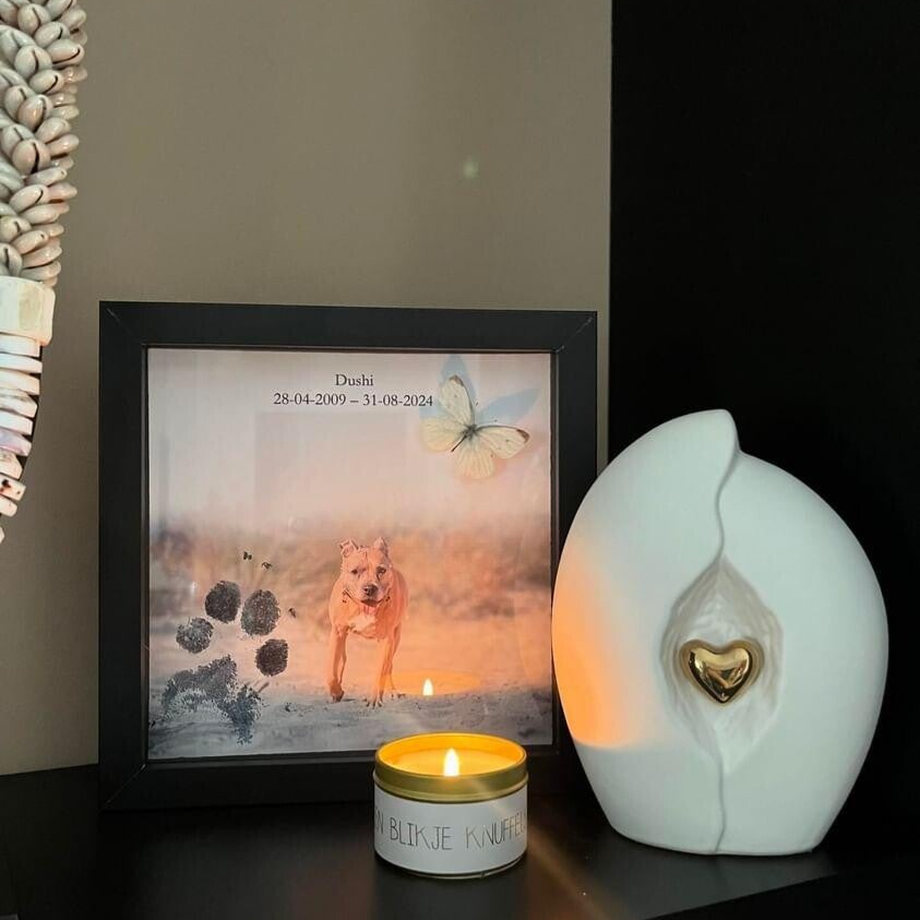 Herinneringlijst hond