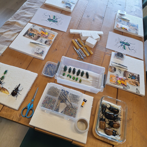 Workshop kevers en vlinders 27 september