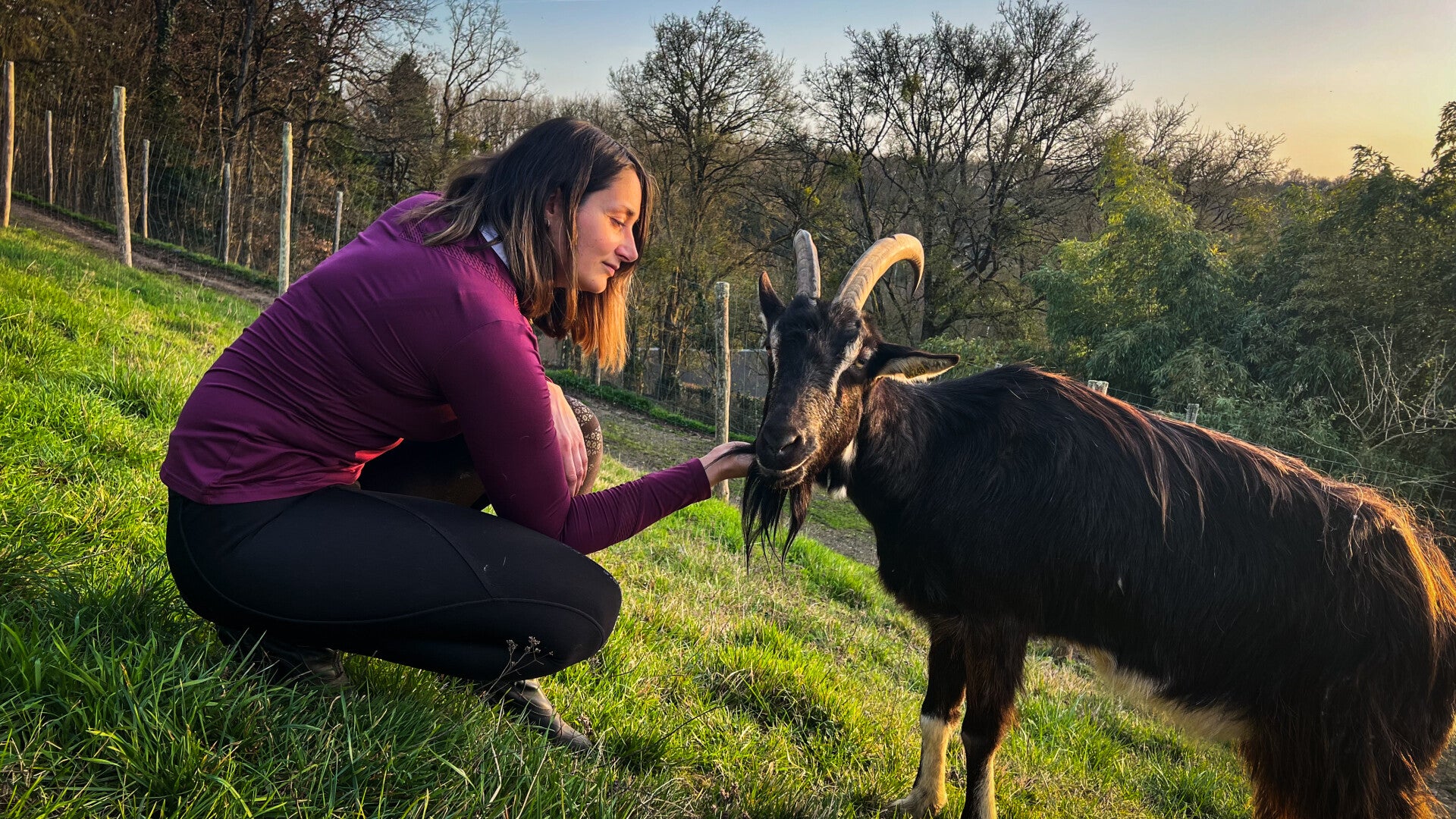 Marion, Kinesiologue avec sa chèvre du Poitou pour un moment calin.