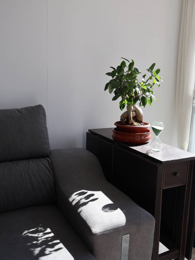 Sala con sofá gris y reflejo del sol. Un bonsai y un reloj de arena verde sobre unamesa auxiliar