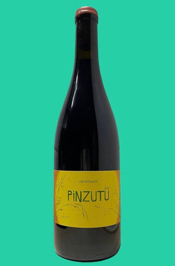 Sulauze Pinzutu 2024