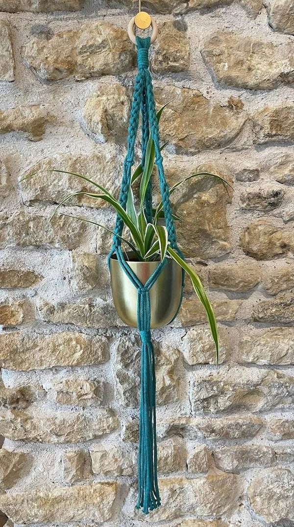 SUSPENSION HELLEBORE