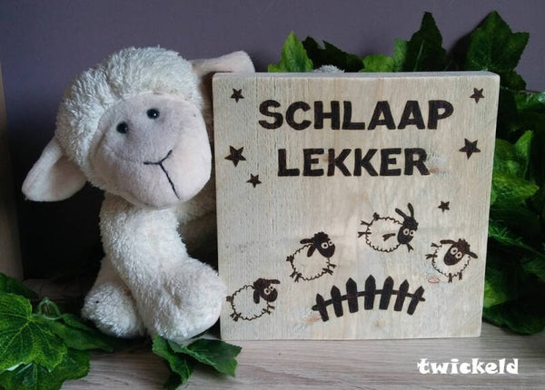 Schlaap lekker