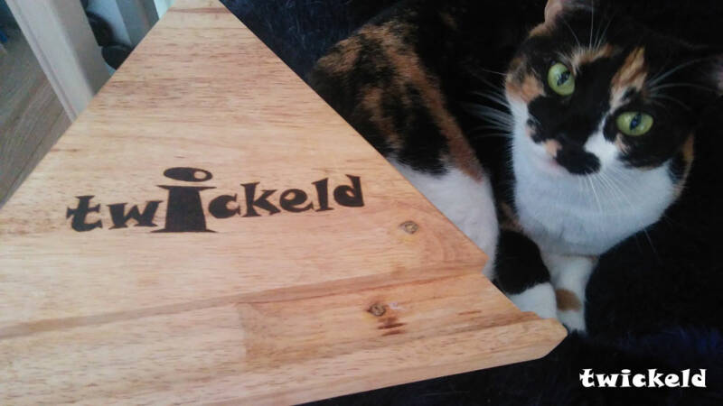 Foto van poes Crispy met gehoutbranden borrelplank