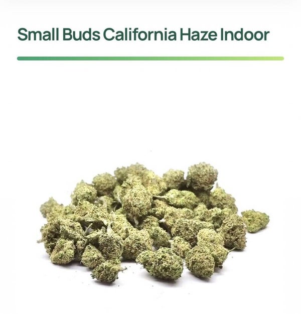 Small Buds California Haze indoor à partir de 2.10€/g