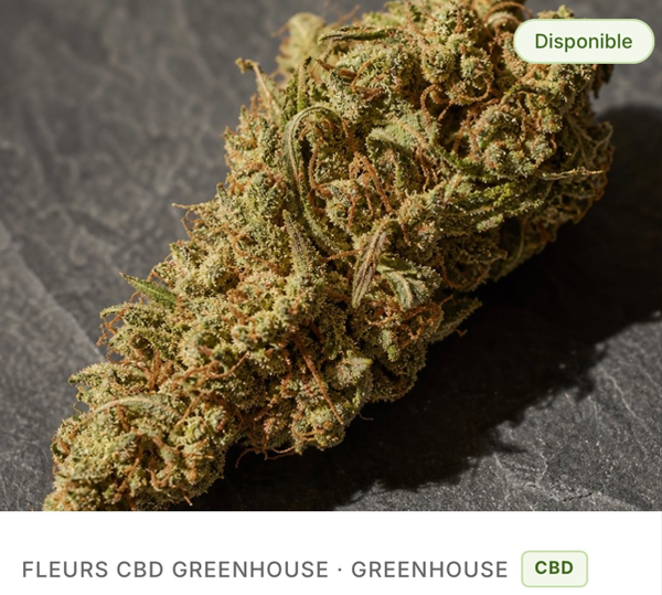 Amnesia Haze Small Buds à partir de 1.70€/g