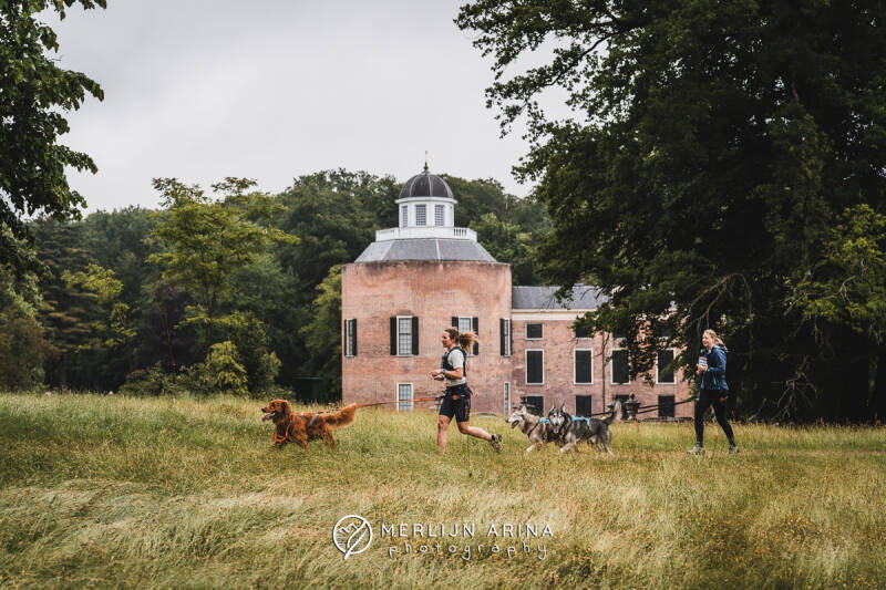 20250525-merlijnarinaphotography-kriekentraillogowebsite-17-standard.jpg