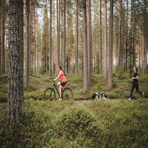 merlijnarinaphotography-avontuurinzweden-websize-275-standard.jpg