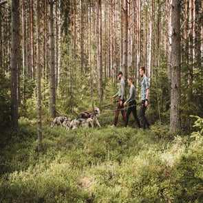 merlijnarinaphotography-avontuurinzweden-websize-287-standard.jpg