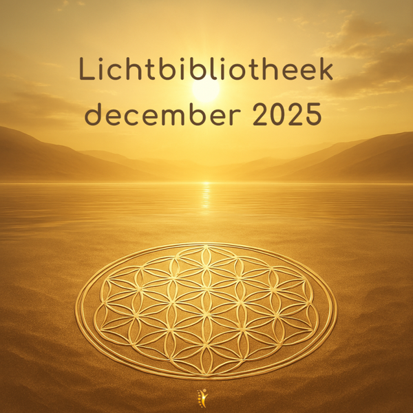 Lichtbibliotheek december 2025