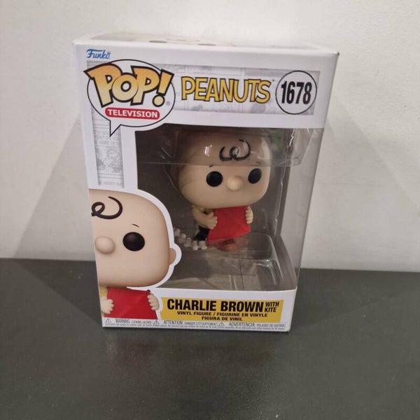 Peanuts Charlie Brown 1678