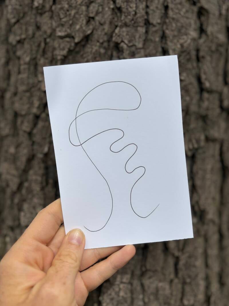 Line 004