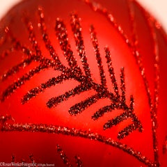 _dsc0006_s1-standard-qtk19r.jpg