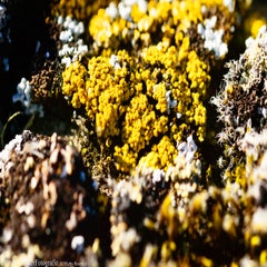 _dsc0067-standard-vwy50j.jpg