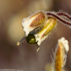 _dsc0070-standard-dw30xu.jpg