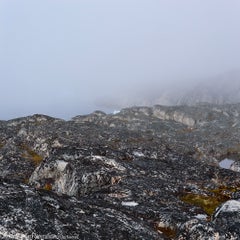 _dsc0131-standard-8y5f95.jpg