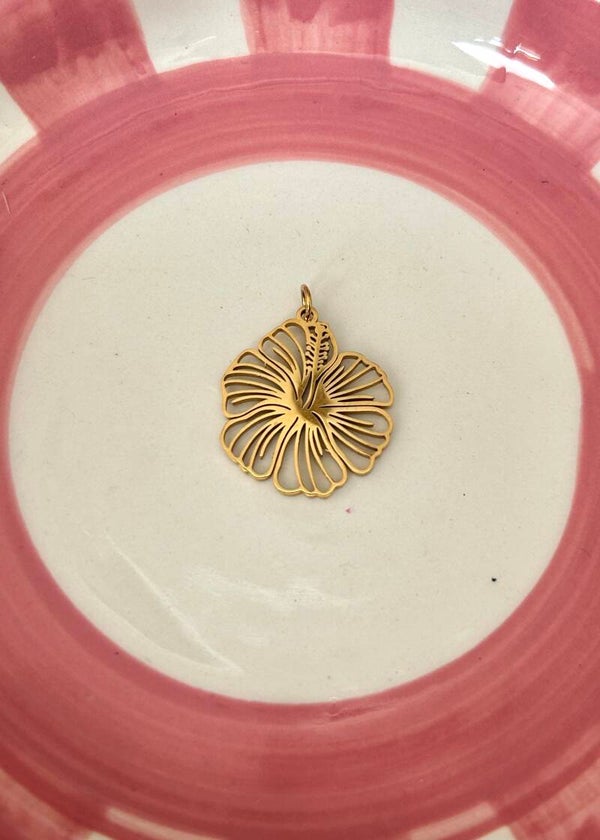 Hibiscus Bedel - Goud en Zilver