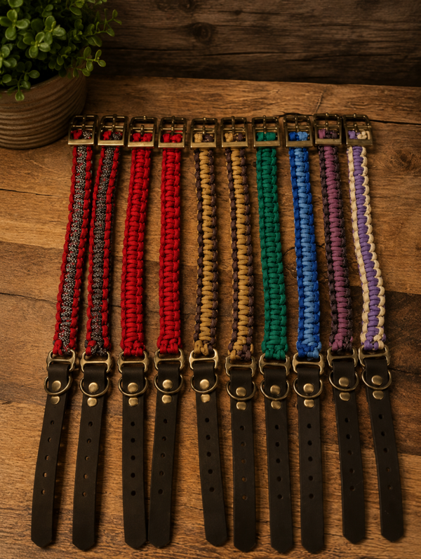 🐾 Classic Halsband