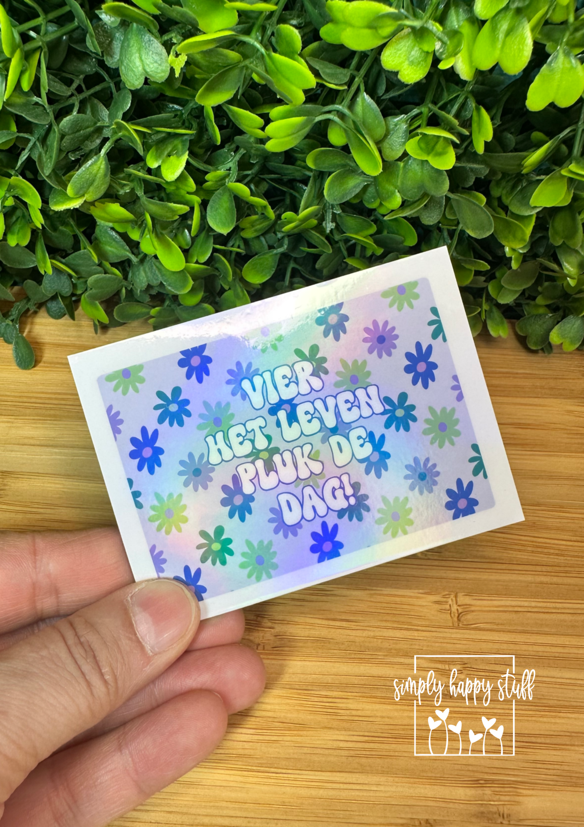 Koelkast magneet: Vier het leven pluk de dag