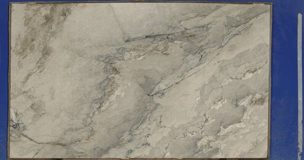 WHITE CAMOUFLAGE #41