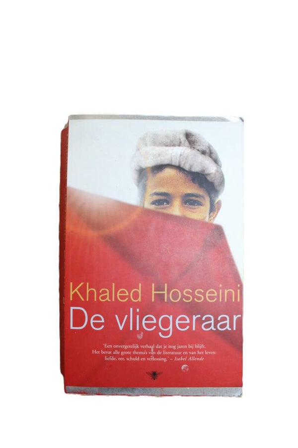 De vliegeraar