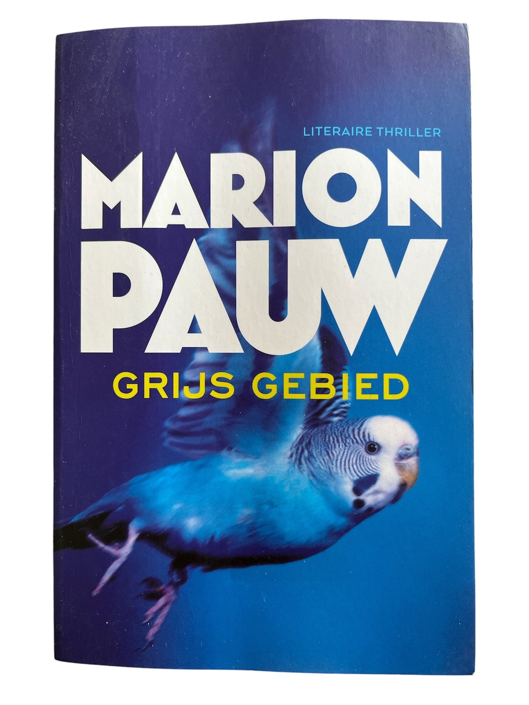 Marion Pauw -Grijs gebied