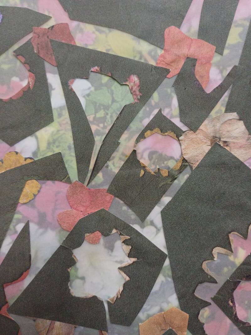 brown-collage-72-dpi-original-standard.jpg