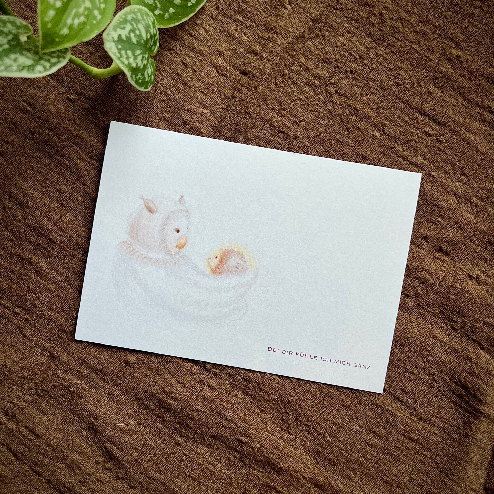 Verschiedene Postkarten "Kleiner Igel"