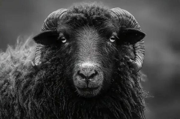 Placemats (per 4 stuks)