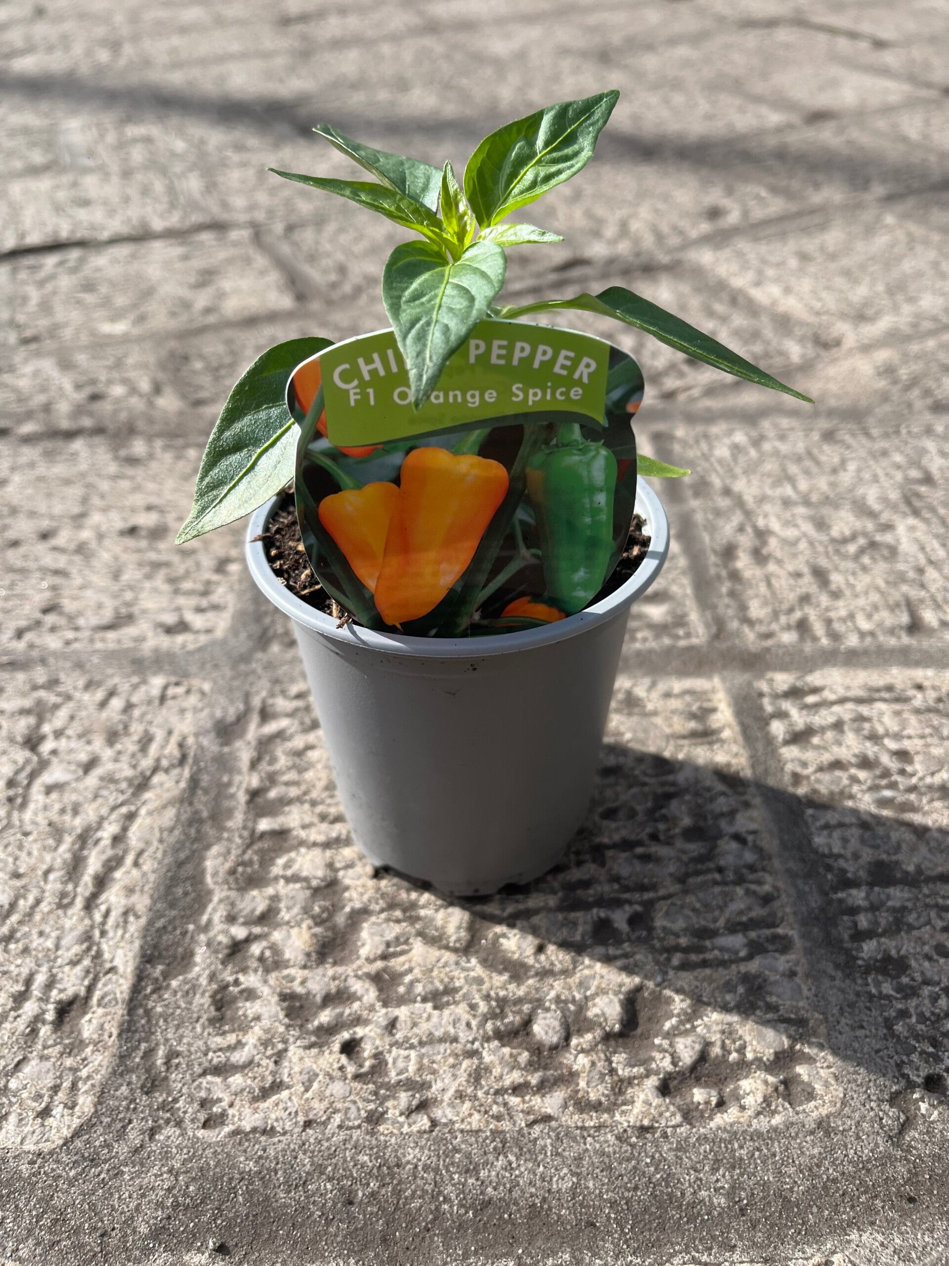 Peppers