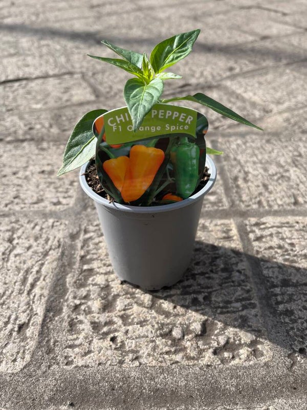 Peppers