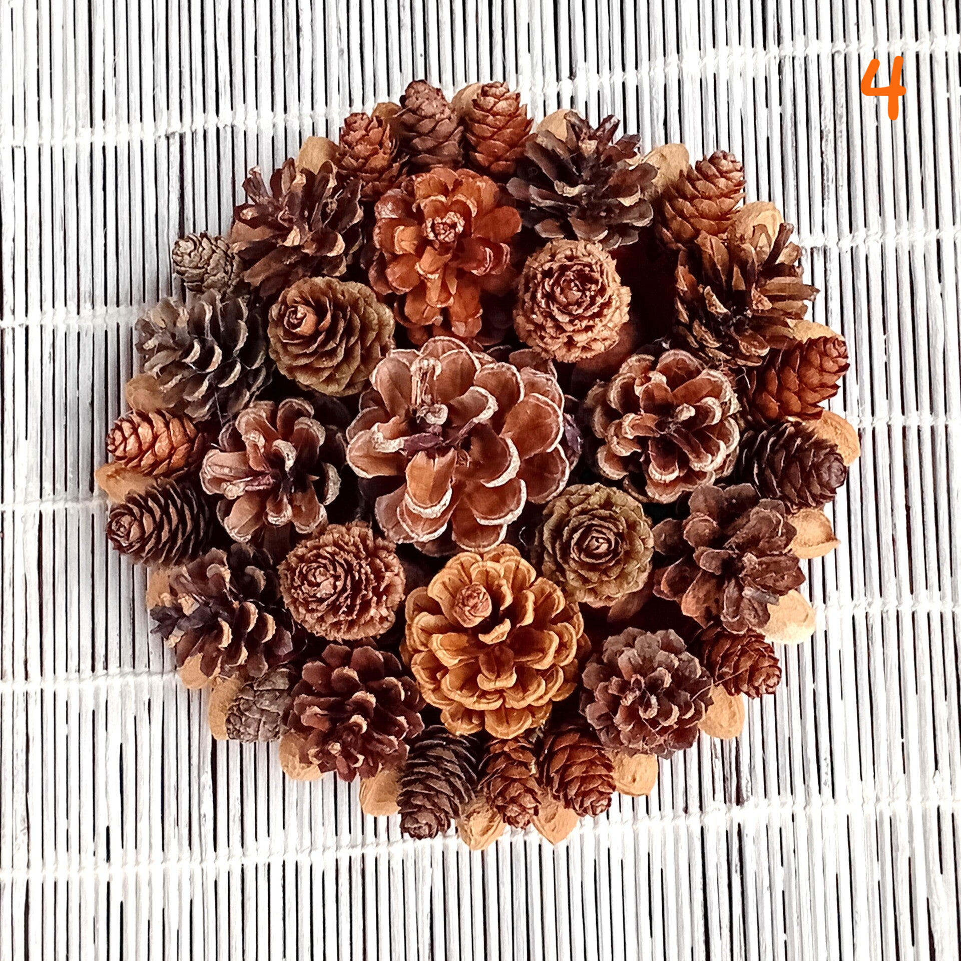 SMALL DRIED CONE WREATHS