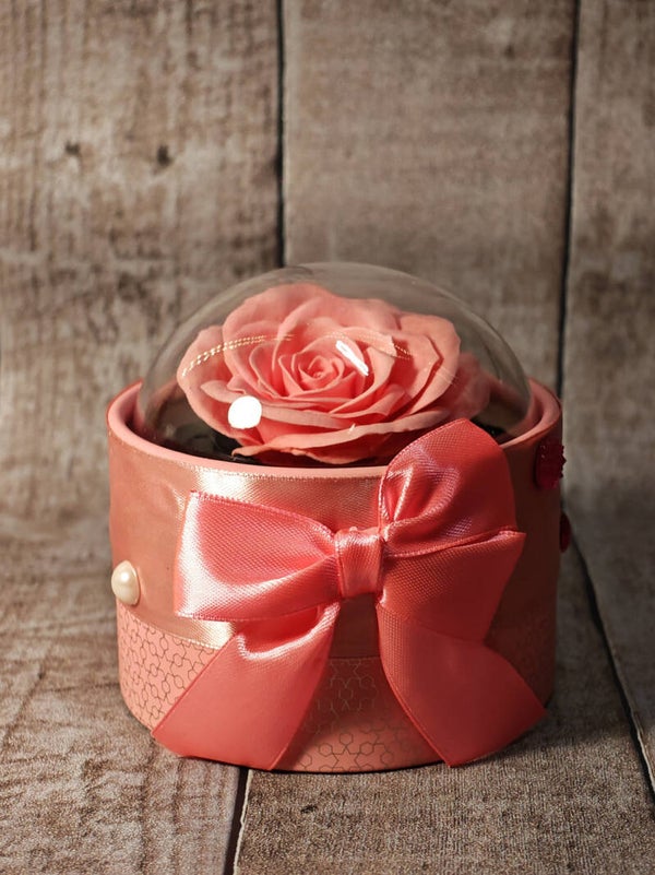 Rose Éternelle sous Dôme