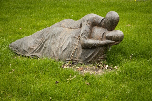 Compassionate university