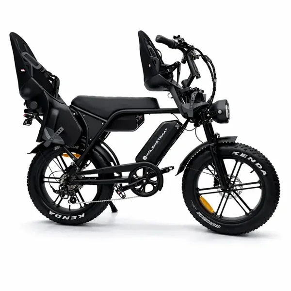 Molenstraat DAPPER PRO Family L /Fatbike