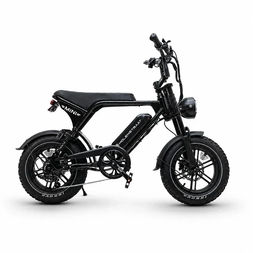 Molenstraat MINI MS /Fatbike