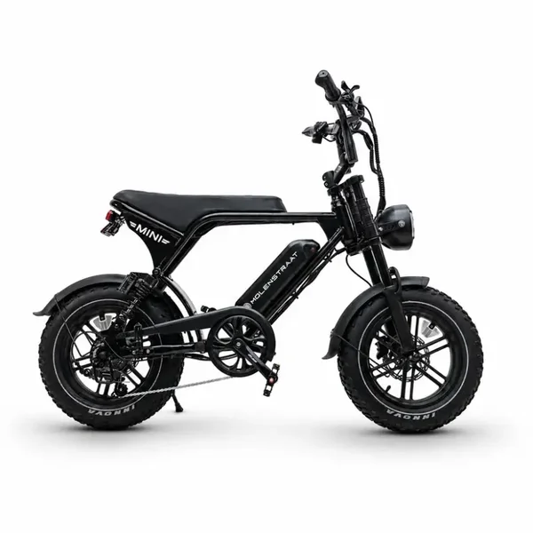 Molenstraat MINI MS /Fatbike