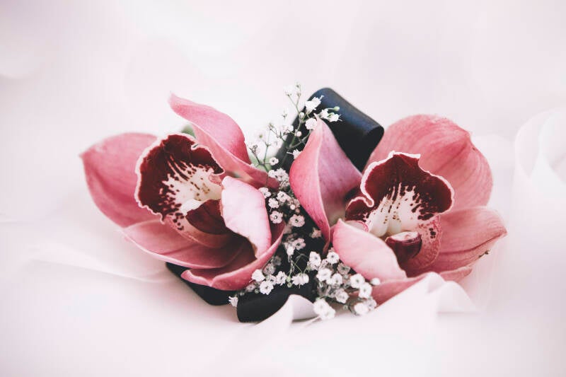 taraandzachwedding20130907-005-standard.jpg