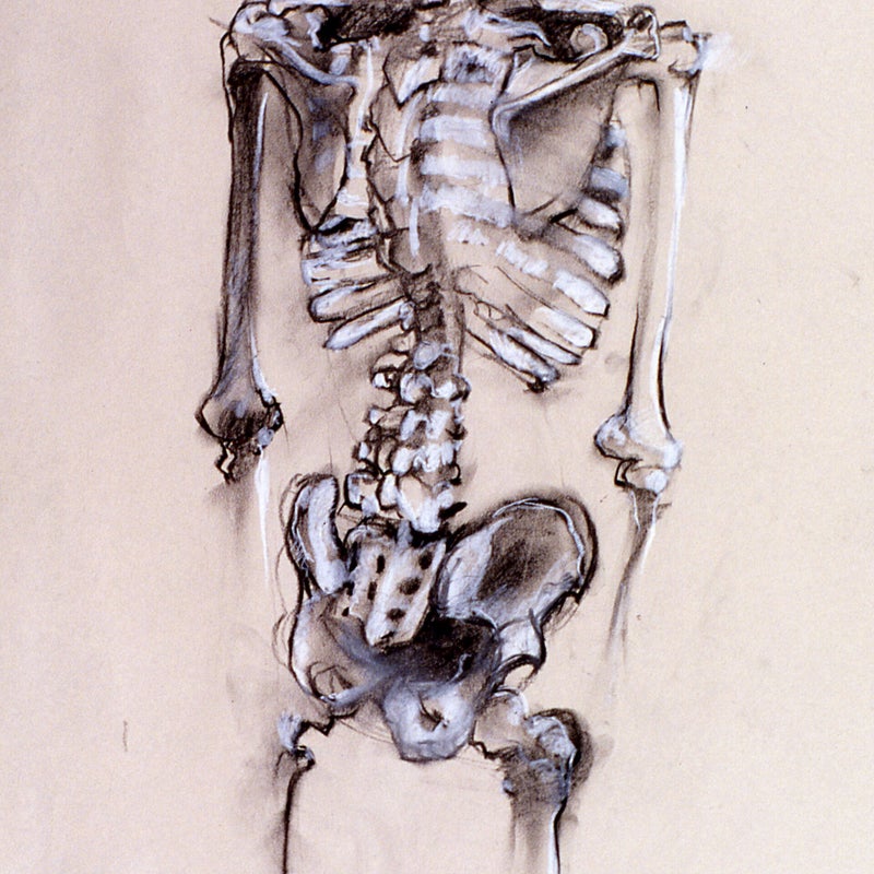 Skeleton 24x30 Graphite / Conte