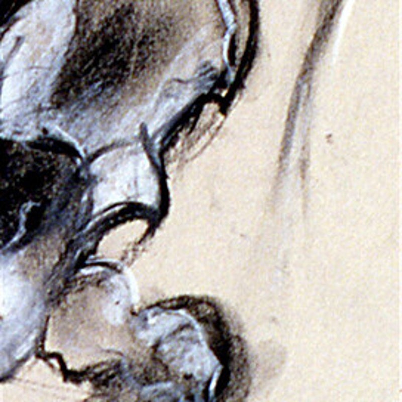 Skeleton Detail Graphite / Conte