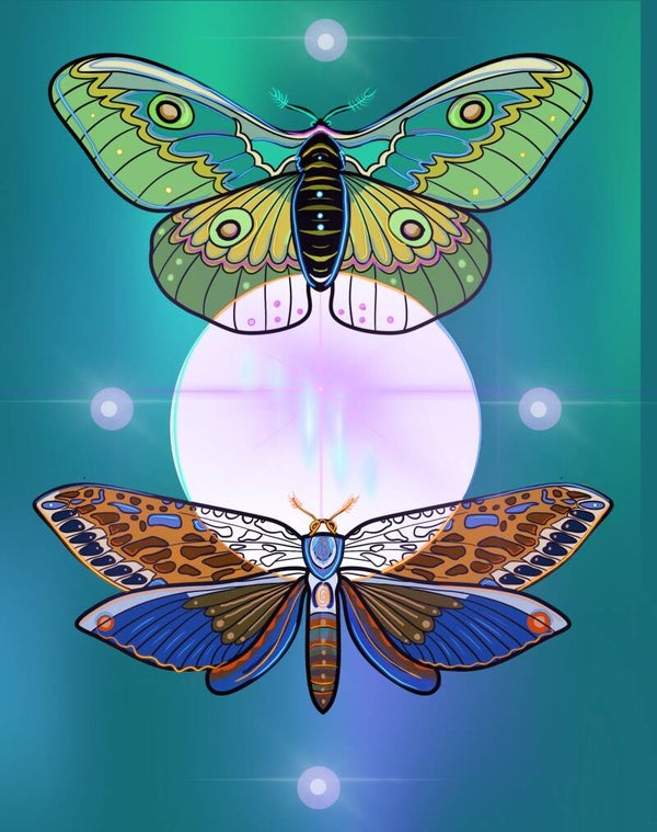 LARGE dye-cut Moth Stickers 6-Pack