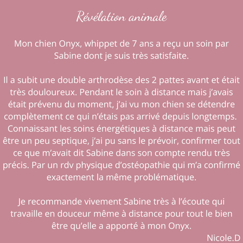 Avis révélation animale 