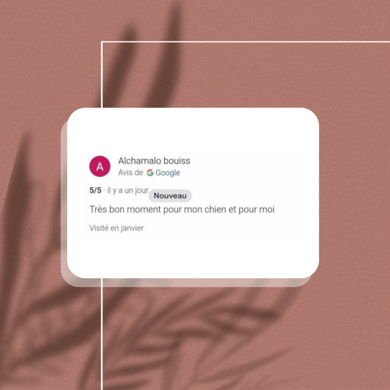 Avis sabine shiatsu animalier, duo shiatsu, chien, animaux de compagnie, humain. 