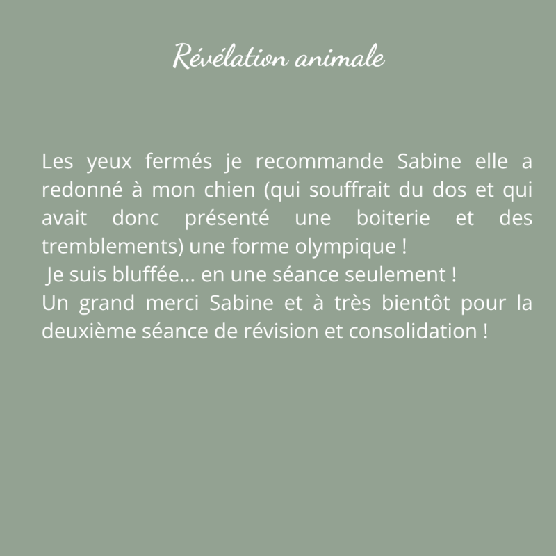 avis révéation animale