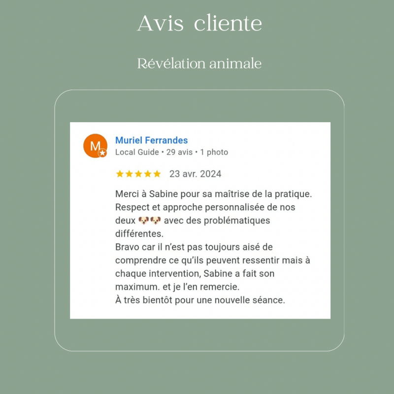 Avis revelation animale - bien-être animal
