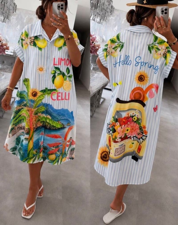 Robe chemise spring