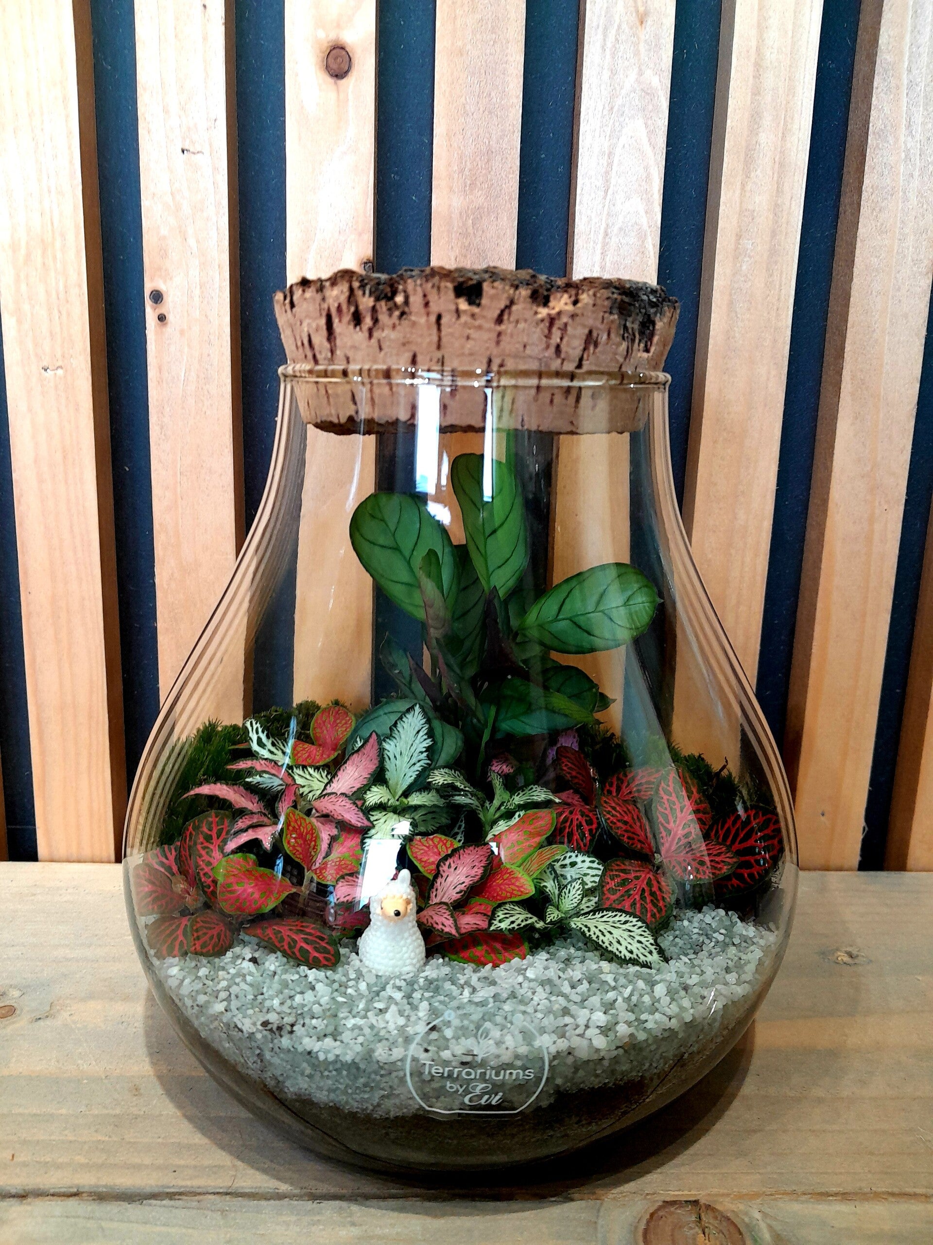 Terrarium Bijenkorf (smal)