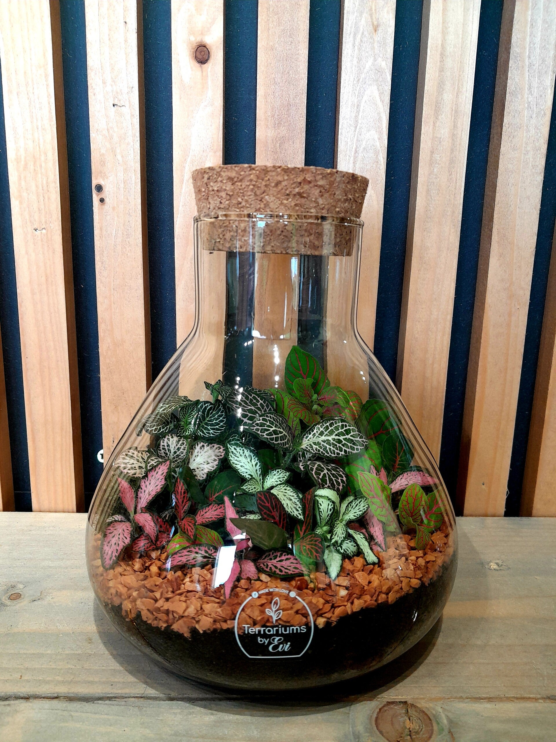 Terrarium Pyramide (smal)